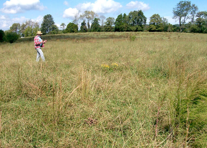 02 - Big Fork Baptist Church Site